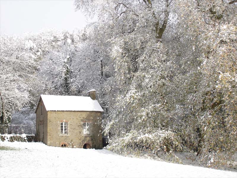 Château de Fontenaille_53500 SAINT-PIERRE-DES-LANDES_15